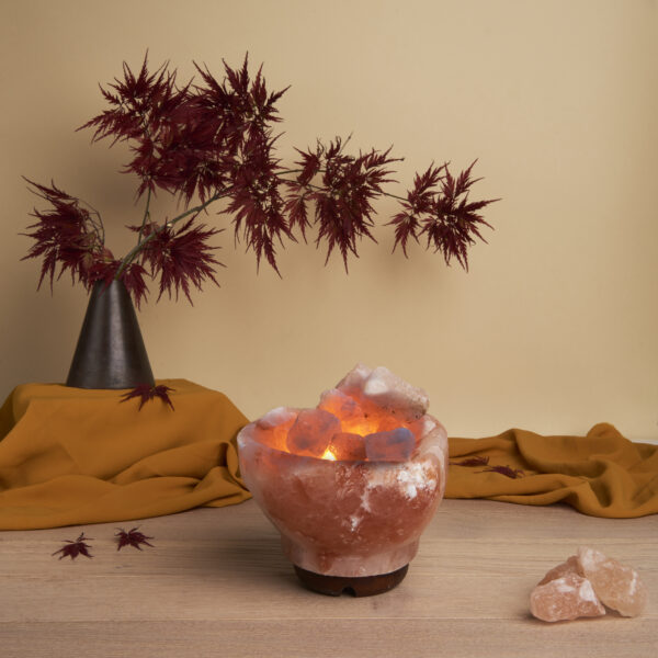 Lampada di Sale Braciere a Forma di Cuore