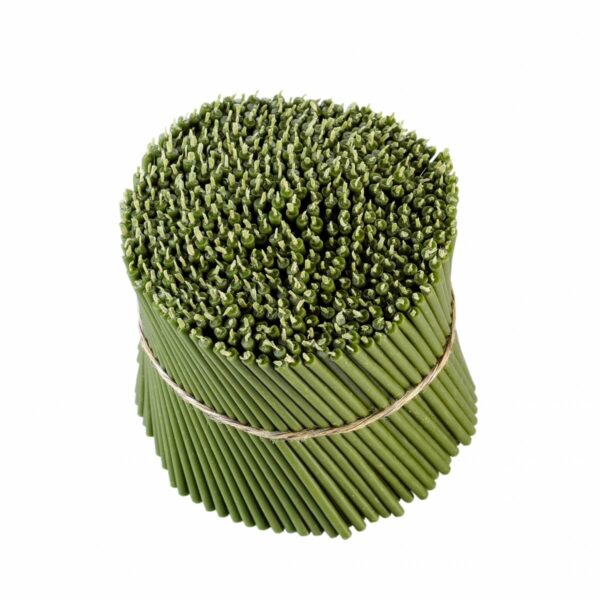 Candela Profumata in cera d'api 10 pz Verde H=16 cm D. 5 mm