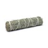 Salvia Shasta Smudge S