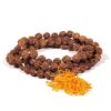 Mala in Rudraksha 108 grani
